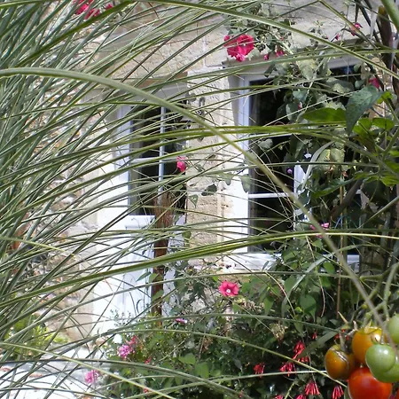 Maison Independante Avec Grand Parc Arbore, Proche De La Nature Et Des Lacs - Fr-1-611-18 Fays-Billot